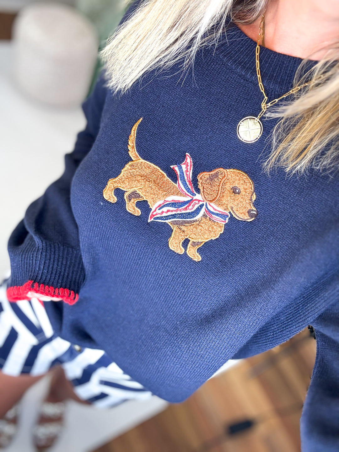 The Liberty Pup Sweater
