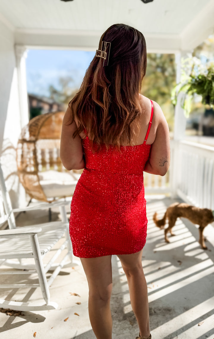 Very Merry Sequin Bodycon Dress