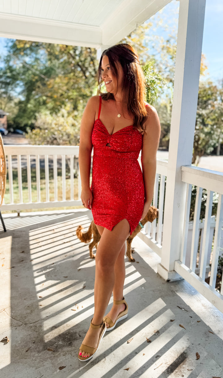 Very Merry Sequin Bodycon Dress